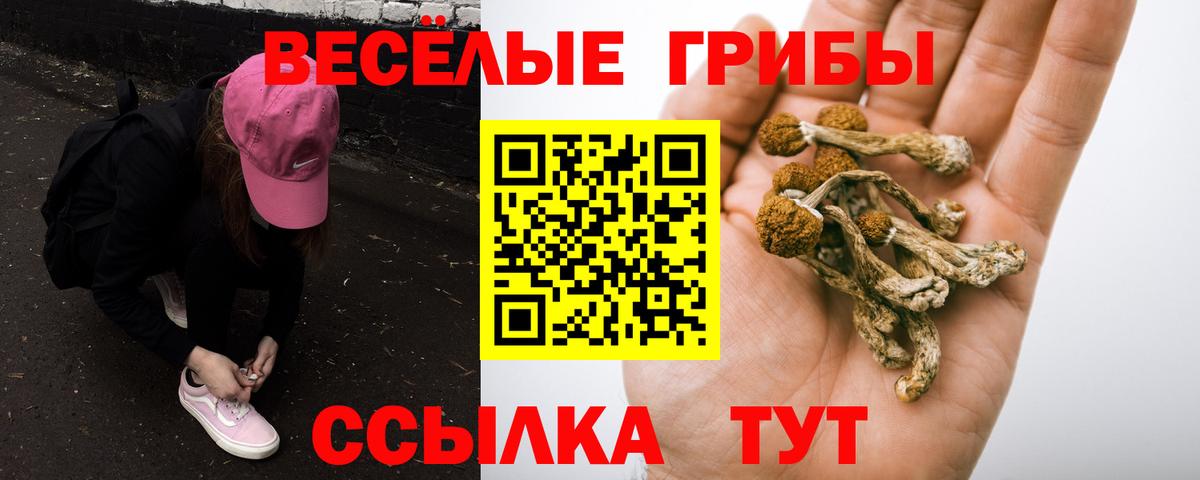 Галлюциногенные грибы ЛСД  Вход с VPN  купить наркотик  Нижний Новгород  Галлюциногенные грибы Psilocybe 
